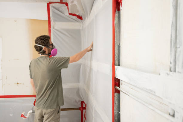  Noel, MO Mold Removal Pros